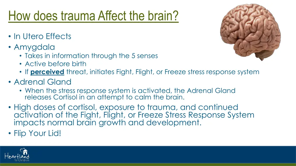 how does trauma affect the brain