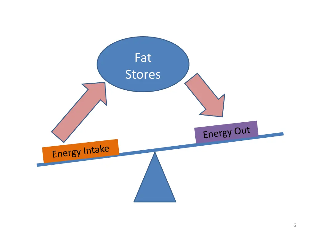 fat stores