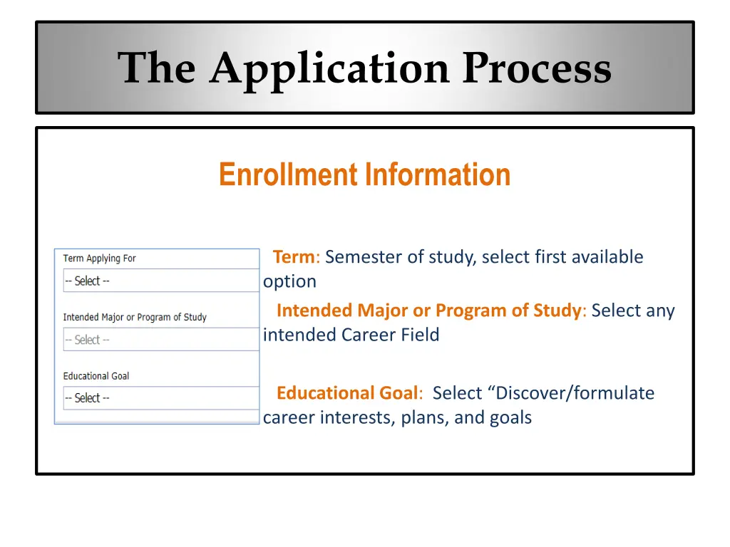 the application process