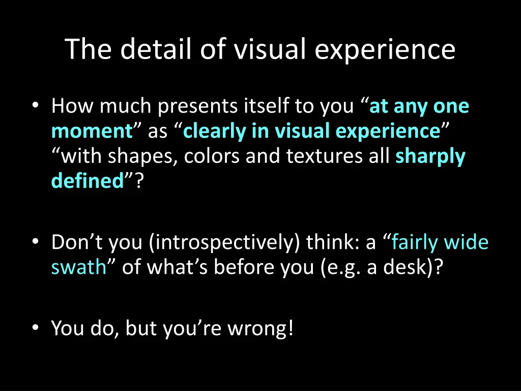 the detail of visual experience