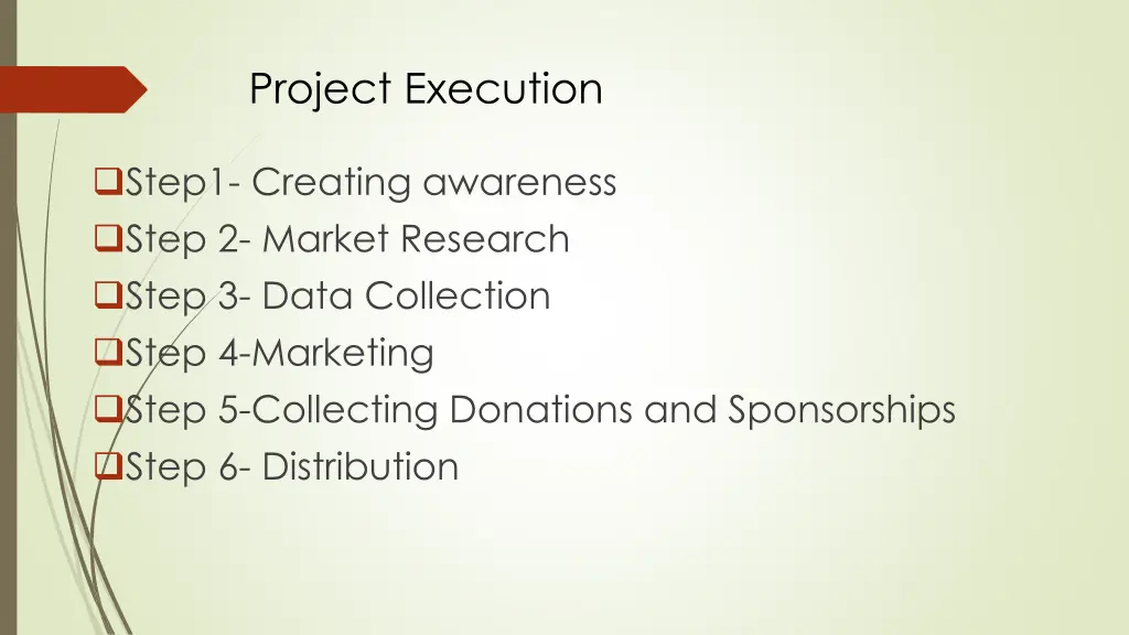 project execution