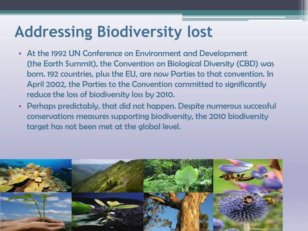 addressing biodiversity lost