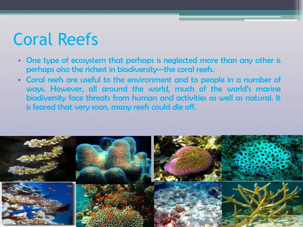 coral reefs