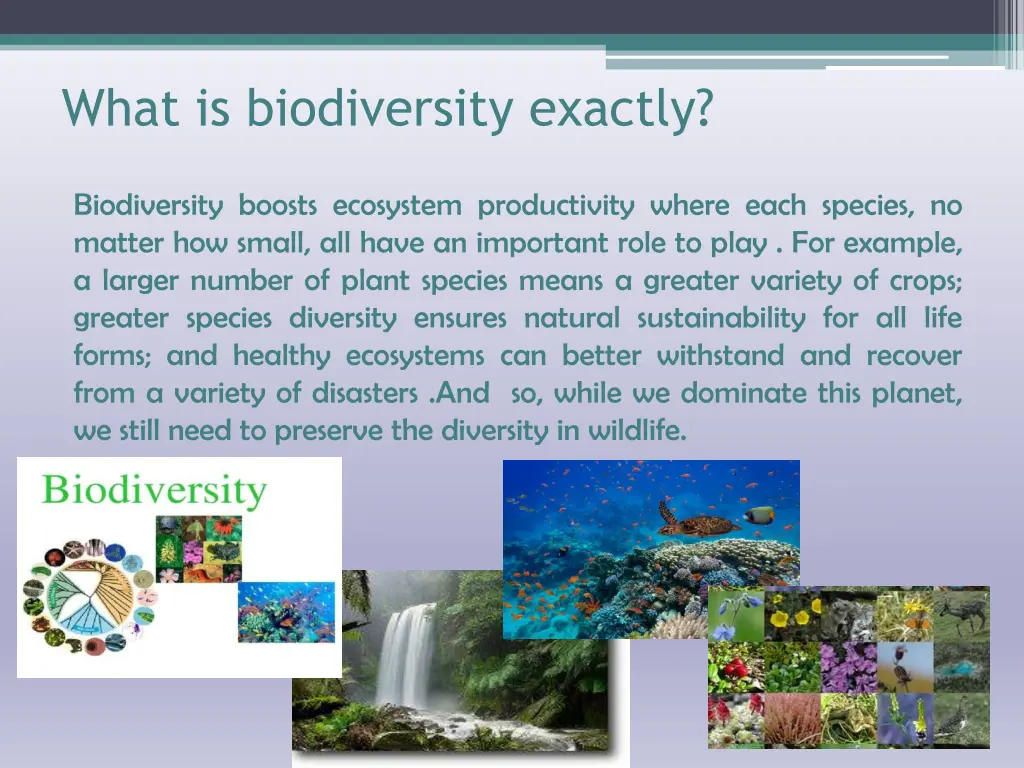 what is biodiversity exactly