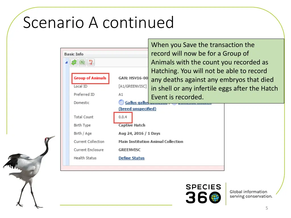 scenario a continued 1