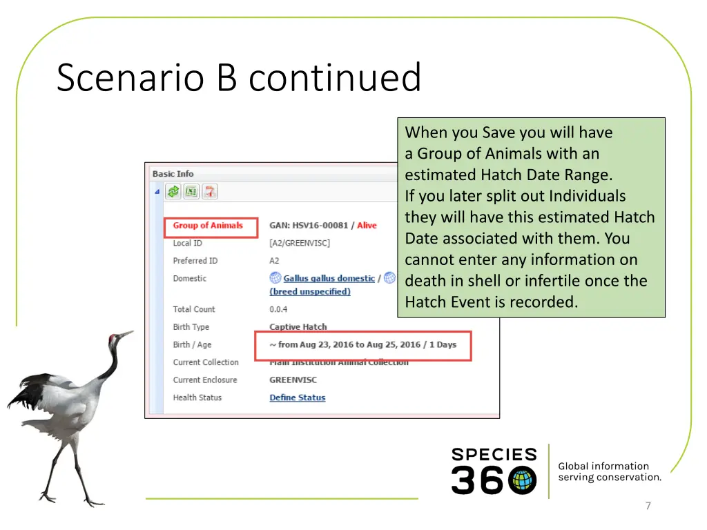 scenario b continued