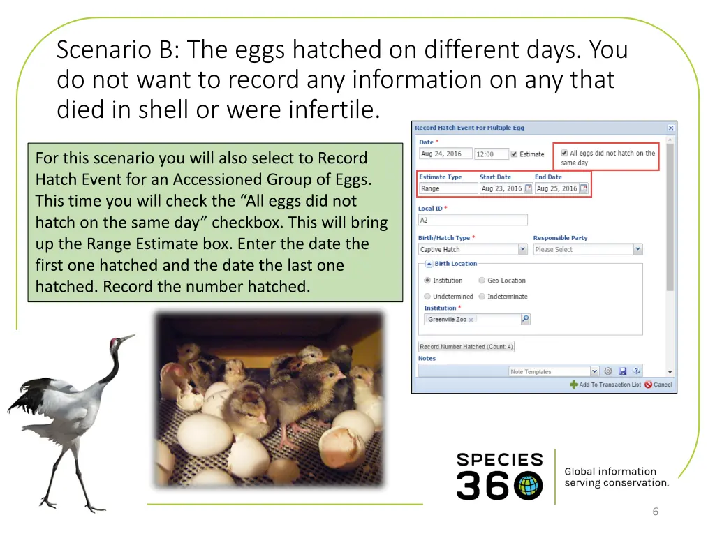 scenario b the eggs hatched on different days