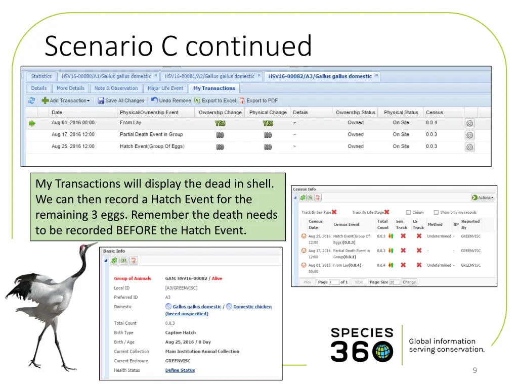 scenario c continued