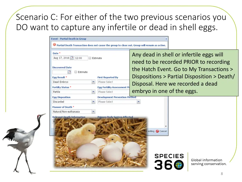 scenario c for either of the two previous