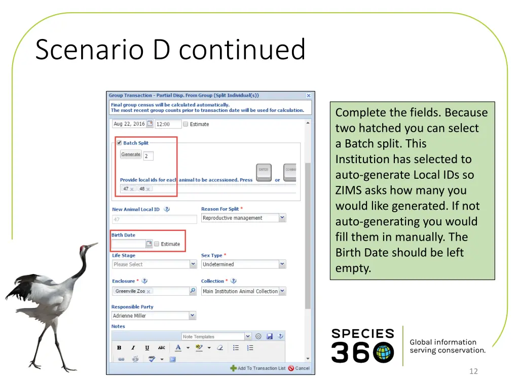 scenario d continued 1