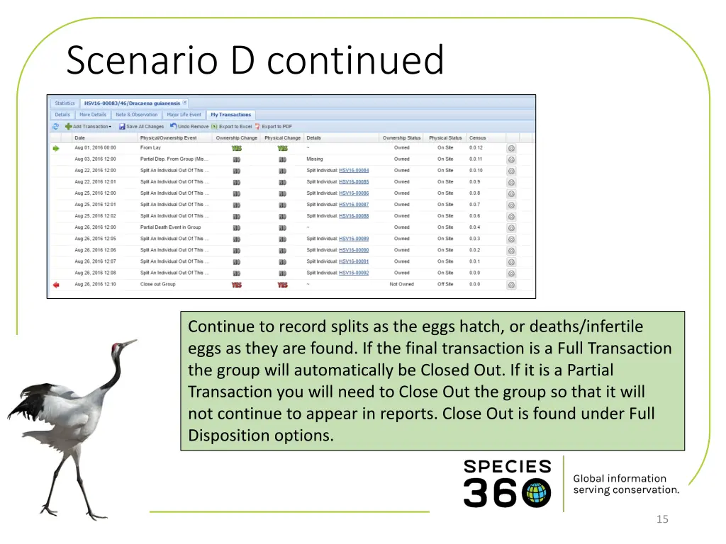 scenario d continued 4