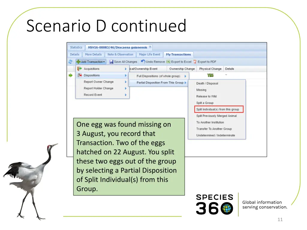 scenario d continued