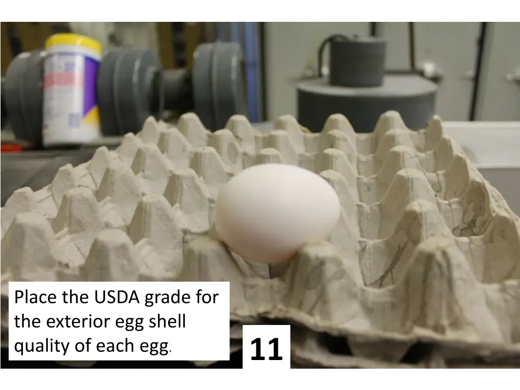 place the usda grade for the exterior egg shell 10