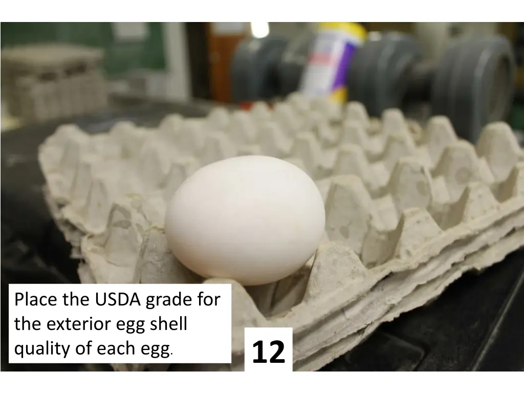 place the usda grade for the exterior egg shell 11