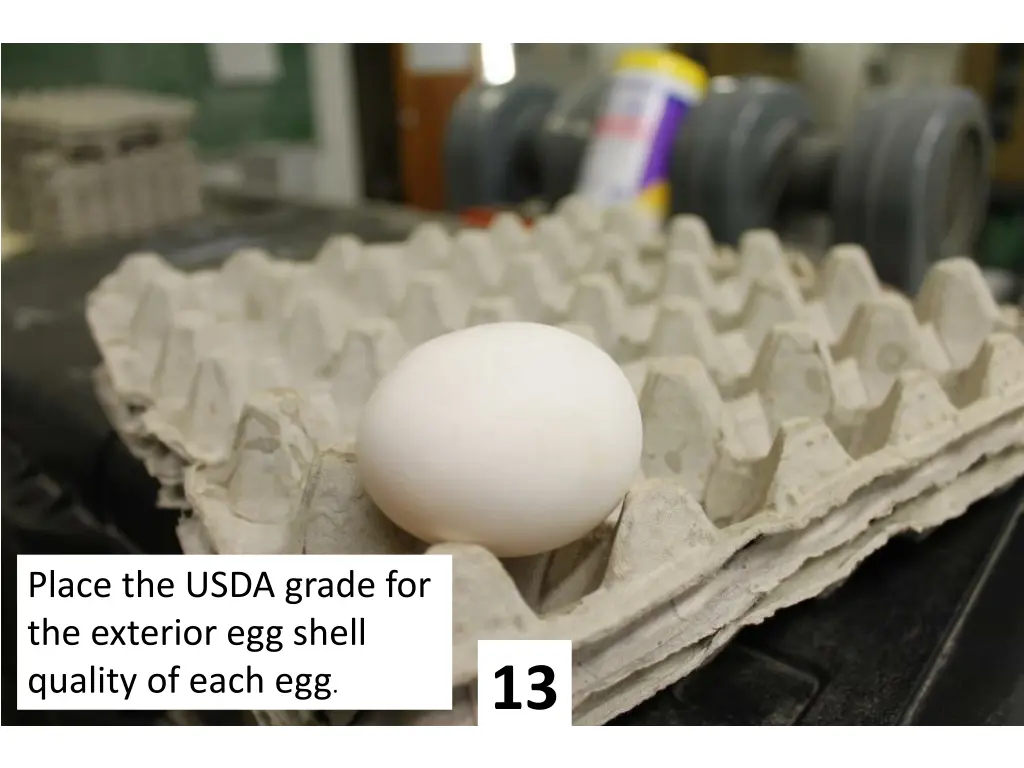 place the usda grade for the exterior egg shell 12