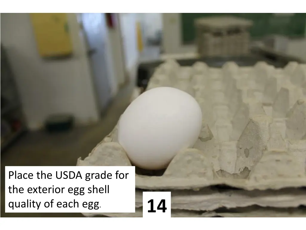 place the usda grade for the exterior egg shell 13