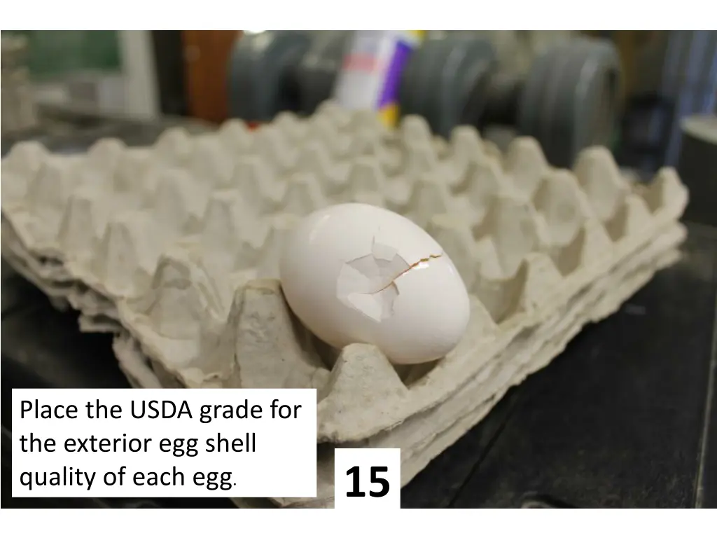 place the usda grade for the exterior egg shell 14