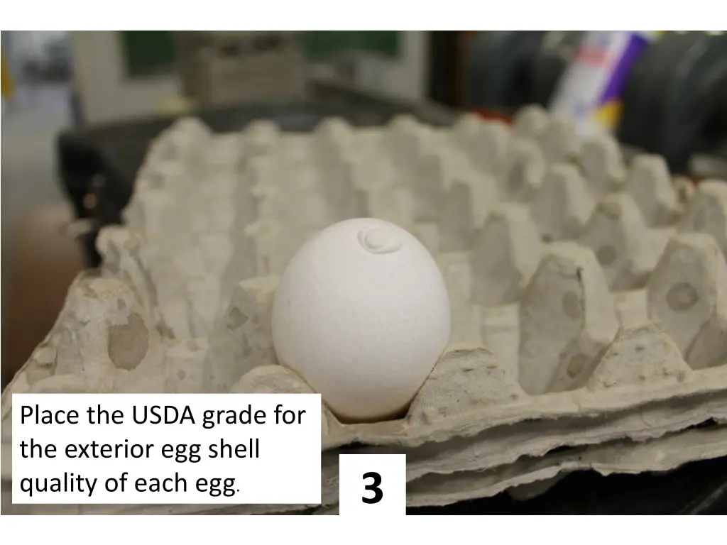 place the usda grade for the exterior egg shell 2