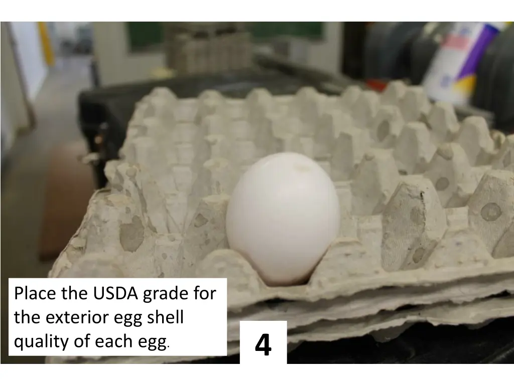 place the usda grade for the exterior egg shell 3