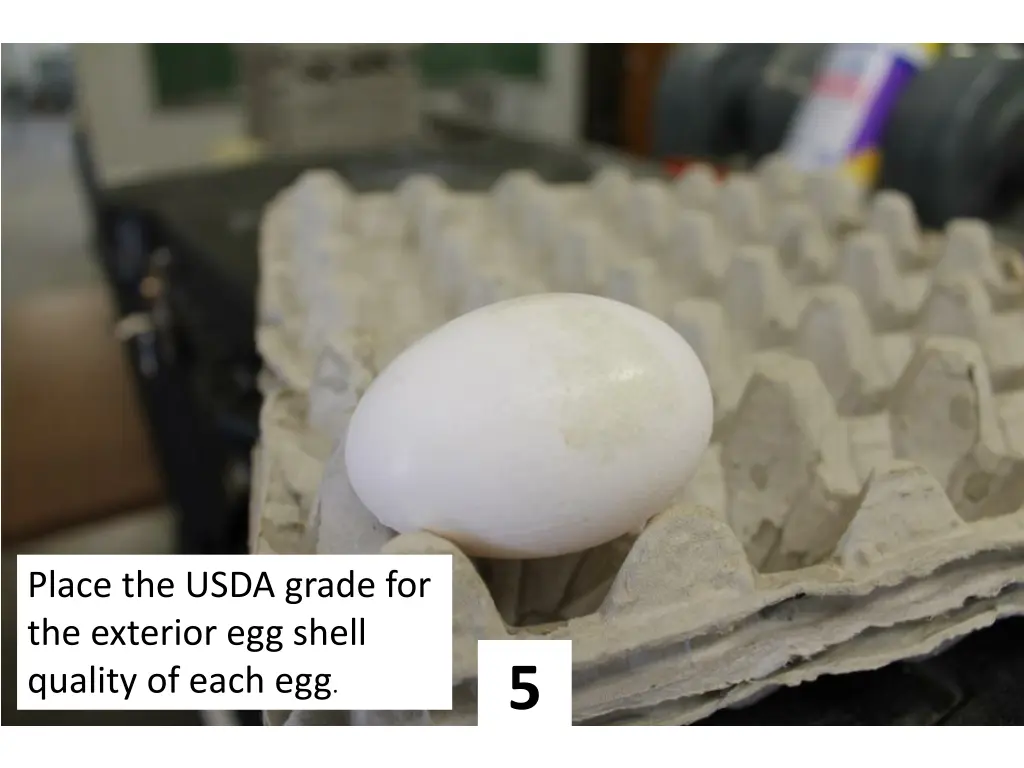 place the usda grade for the exterior egg shell 4