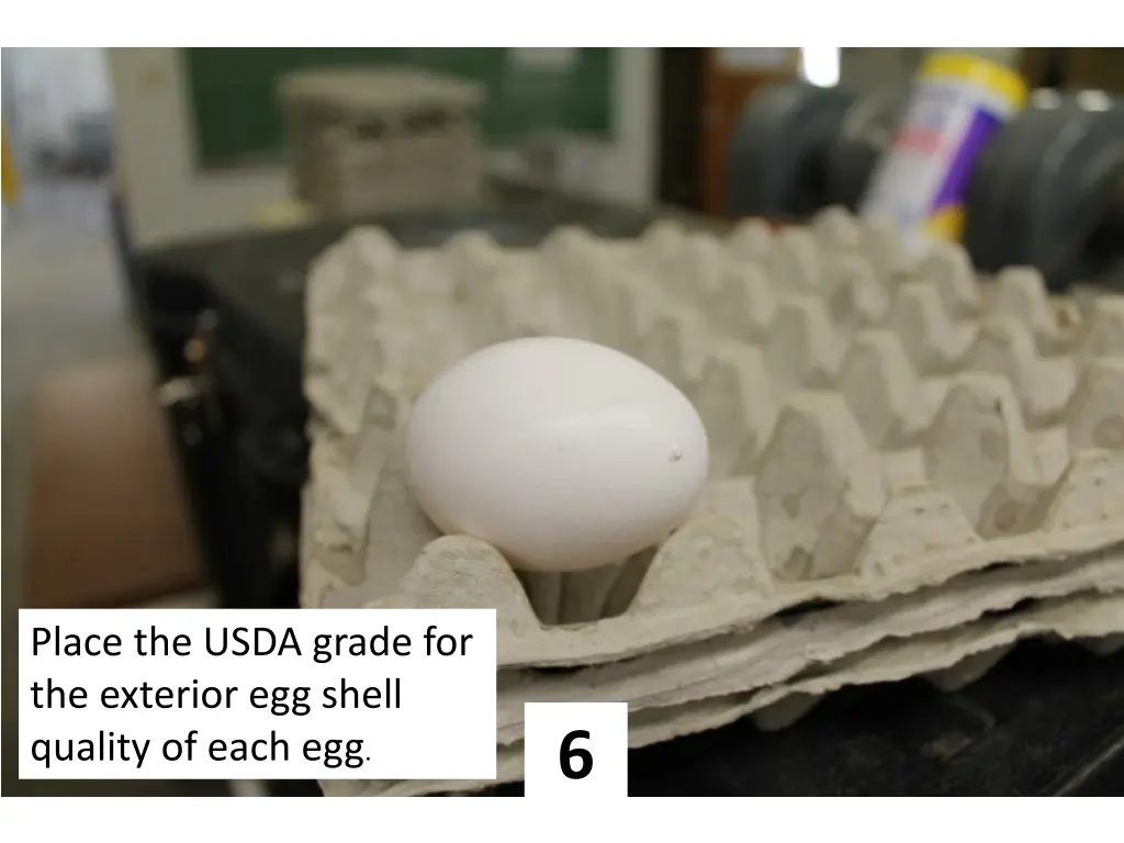 place the usda grade for the exterior egg shell 5