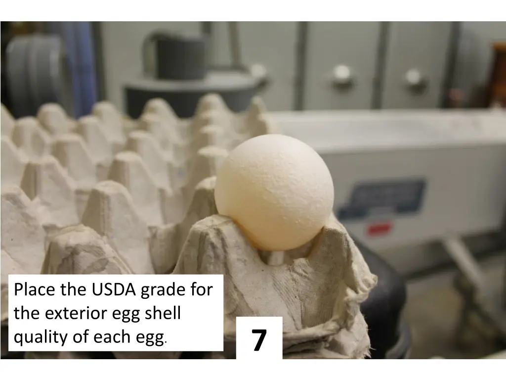 place the usda grade for the exterior egg shell 6