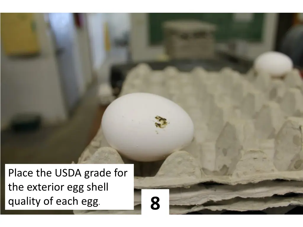 place the usda grade for the exterior egg shell 7