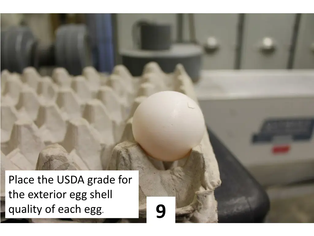 place the usda grade for the exterior egg shell 8