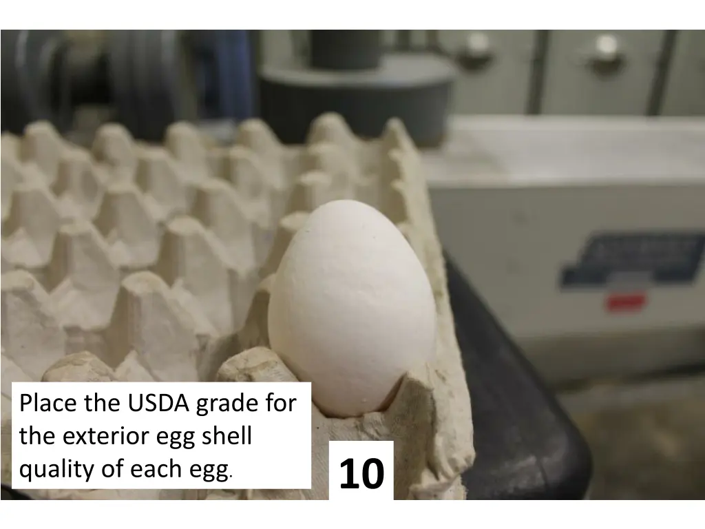 place the usda grade for the exterior egg shell 9