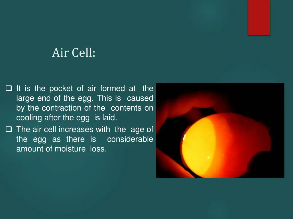 aircell