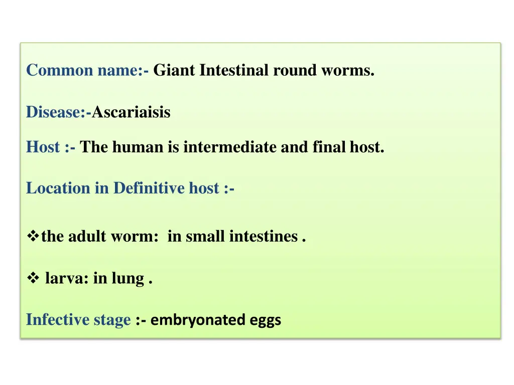 common name giant intestinal round worms