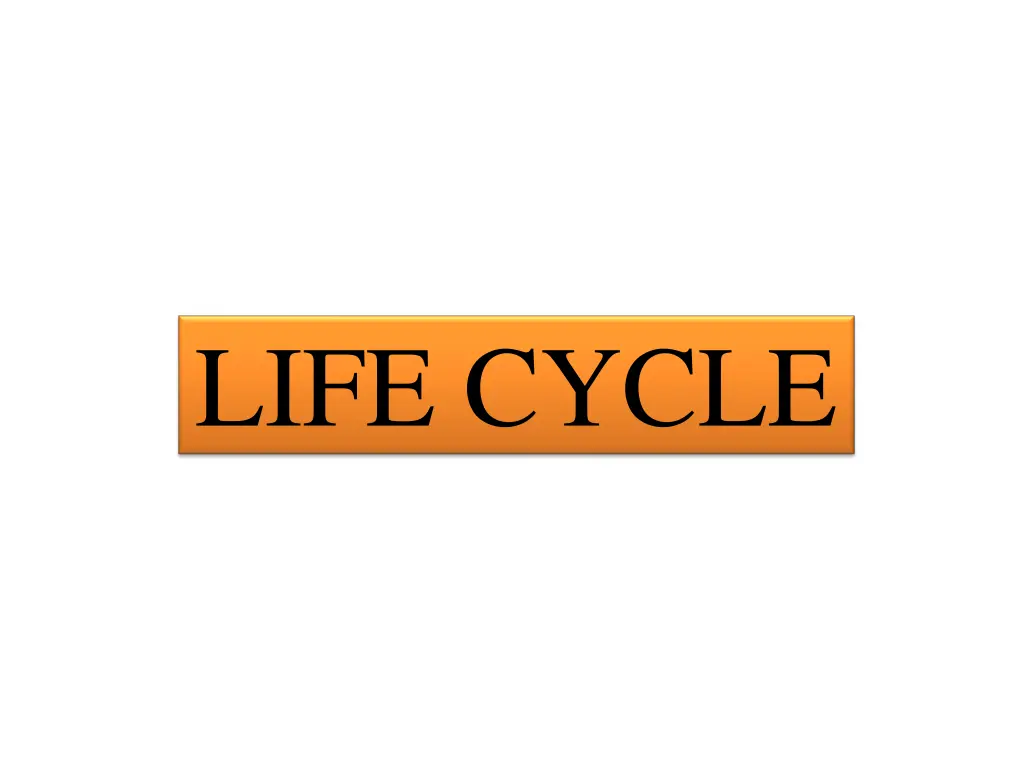 life cycle