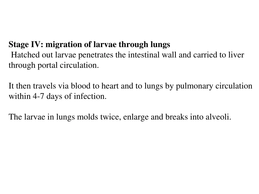 stage iv migration of larvae through lungs