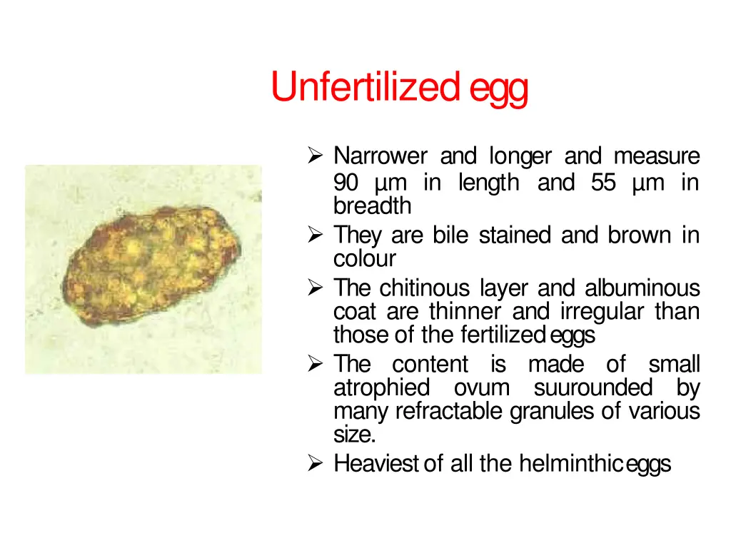 unfertilizedegg