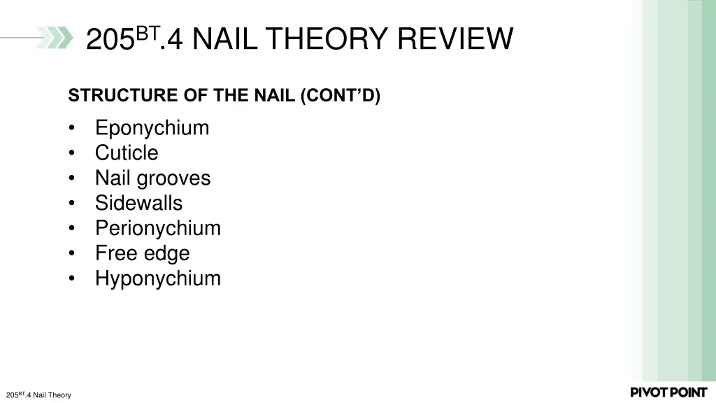 205 bt 4 nail theory review 1