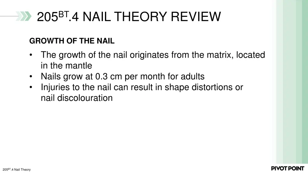 205 bt 4 nail theory review 3