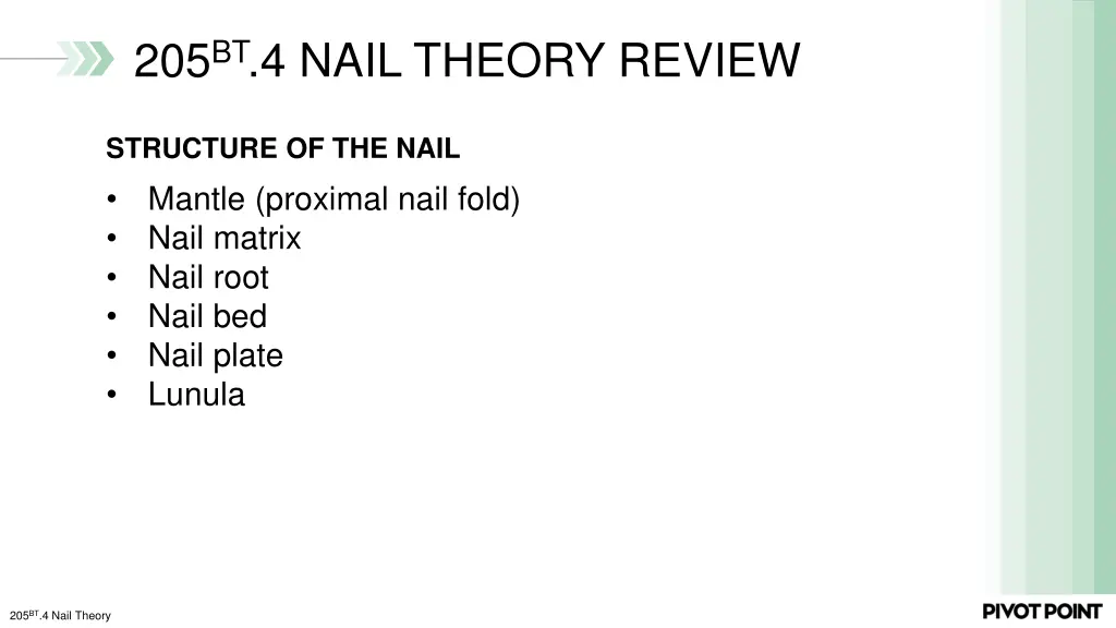 205 bt 4 nail theory review