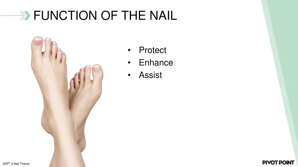 function of the nail