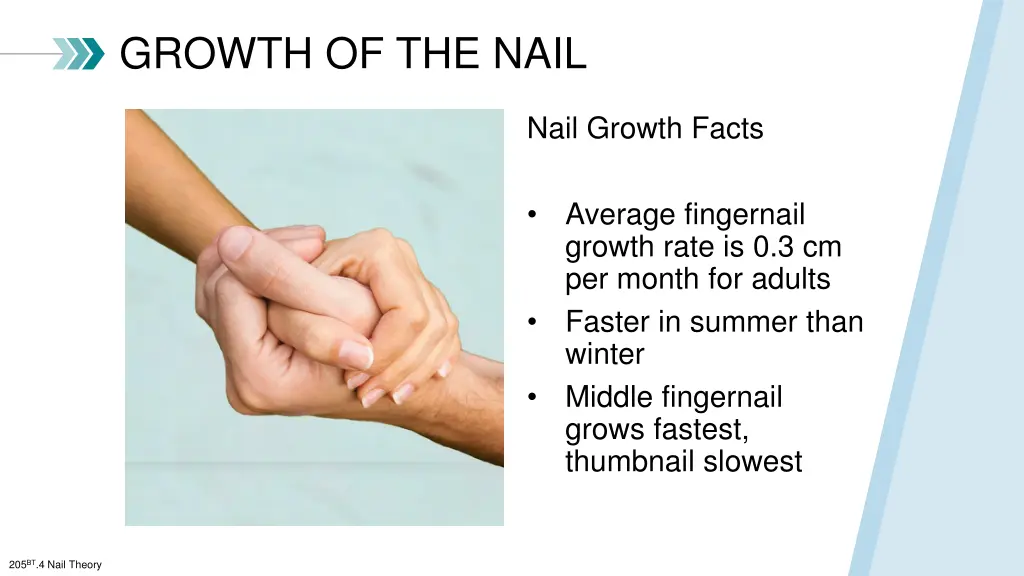growth of the nail 1