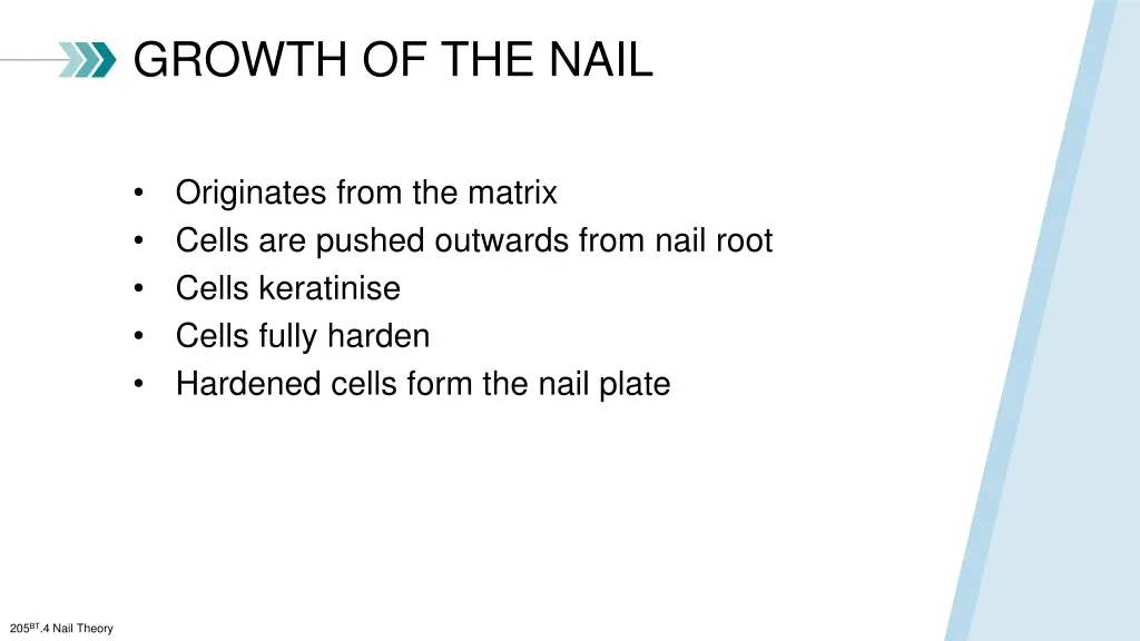 growth of the nail