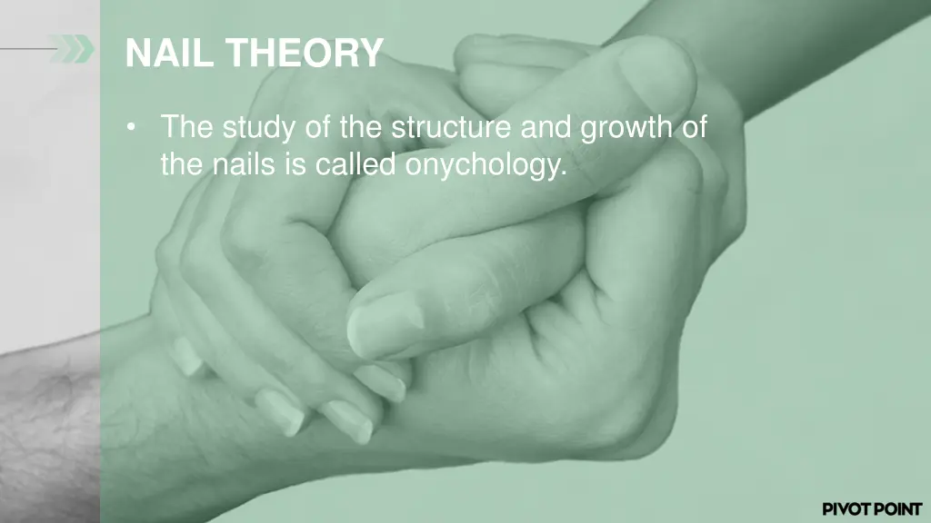 nail theory