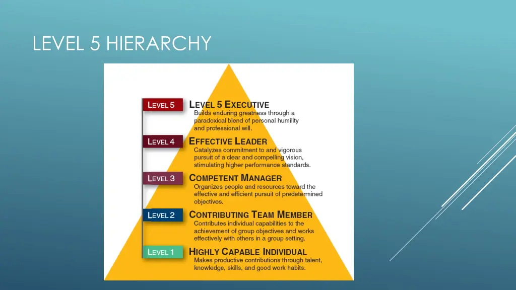 level 5 hierarchy