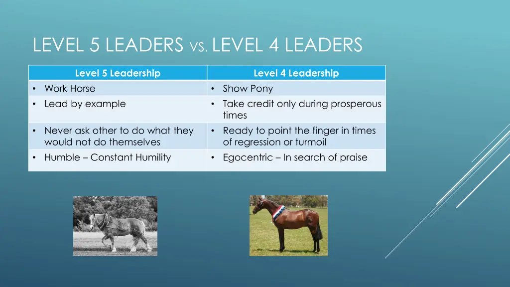 level 5 leaders vs level 4 leaders