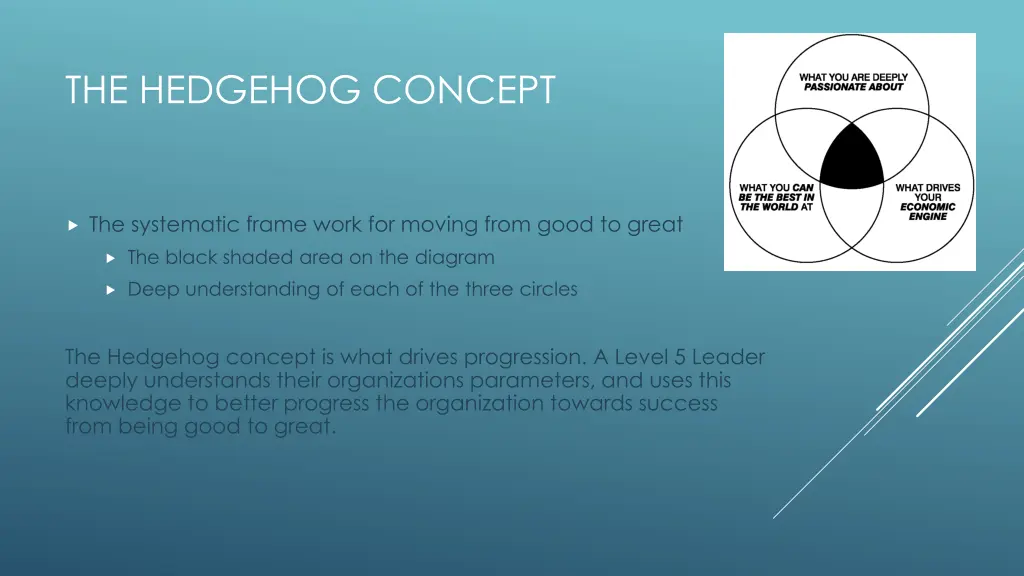 the hedgehog concept