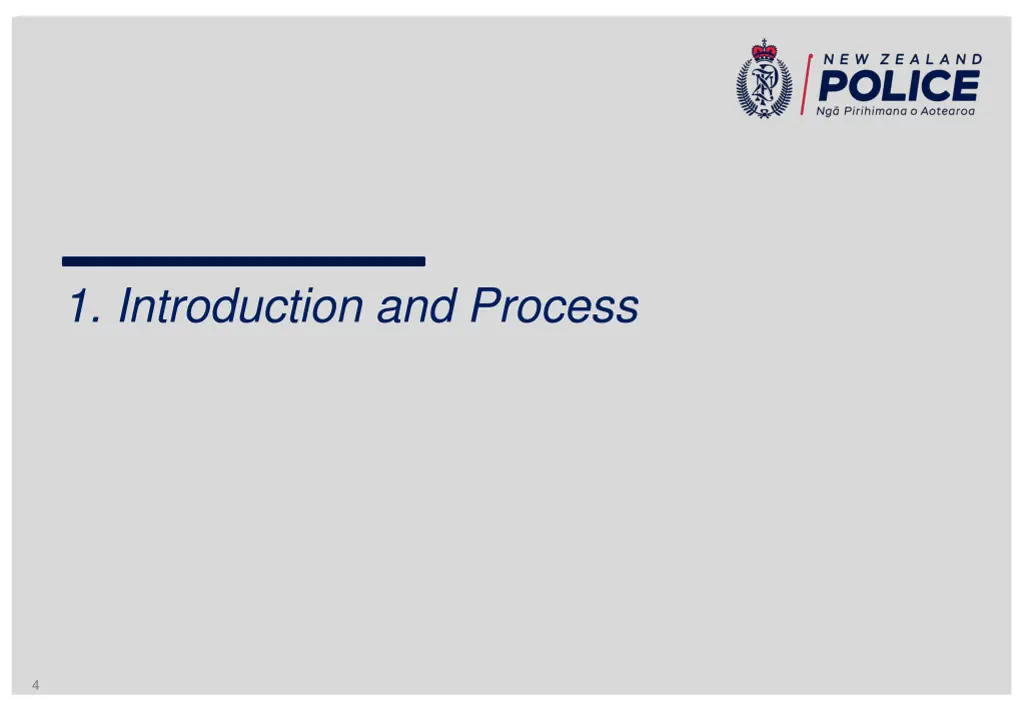 1 introduction and process