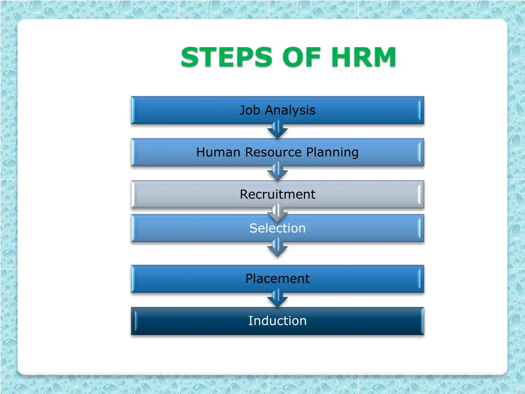 steps of hrm