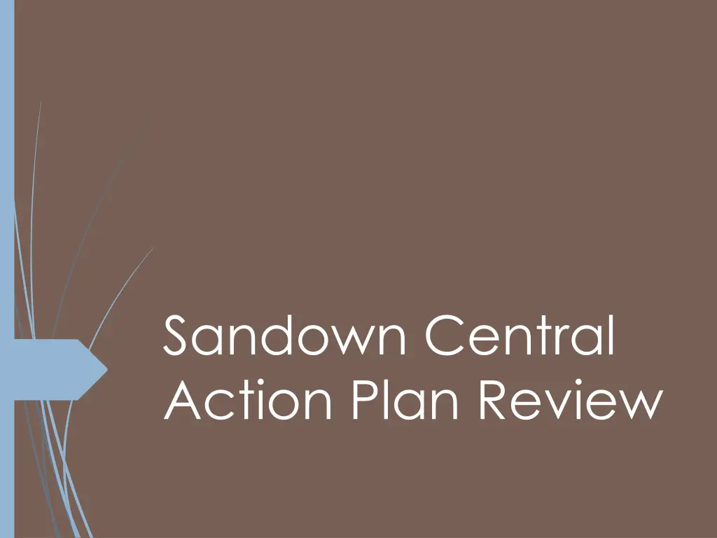 sandown central action plan review