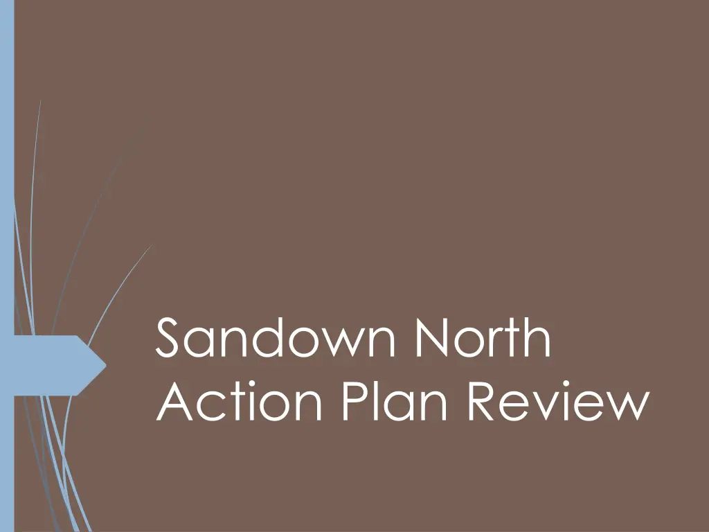 sandown north action plan review