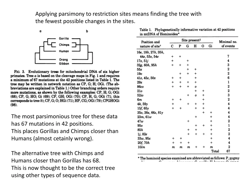 applying parsimony to restriction sites means