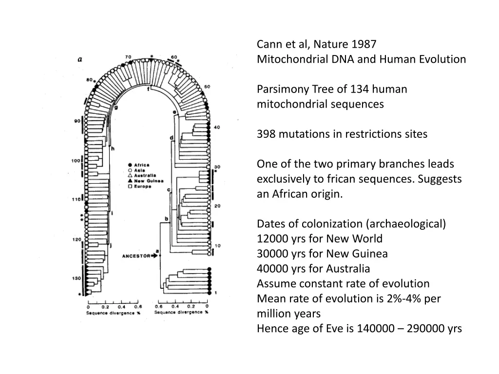 cann et al nature 1987 mitochondrial